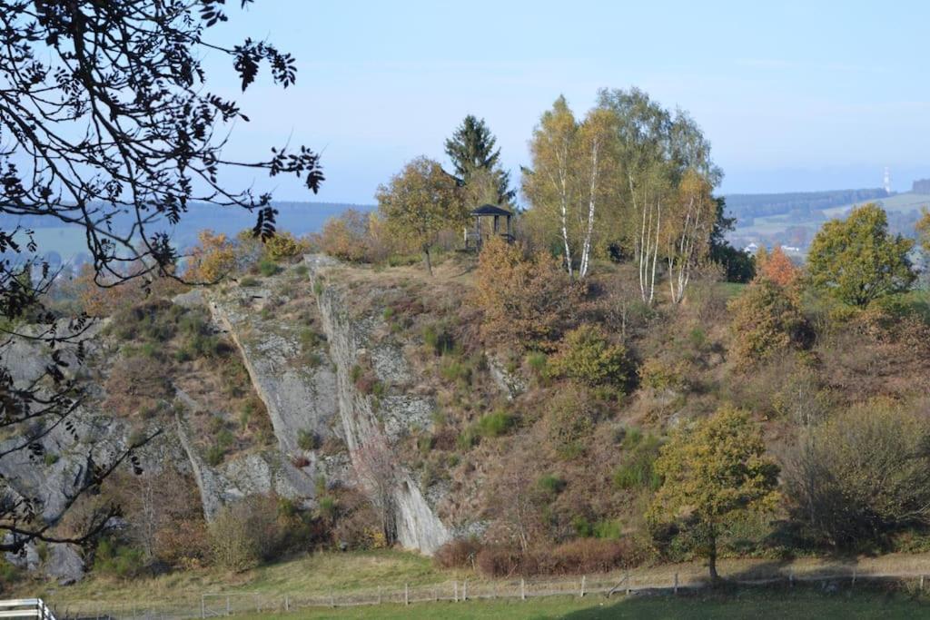 Gite La Forge, Ouvert En 2016. Villa Lierneux Exterior photo